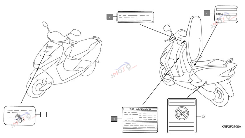 Engine Diagram
